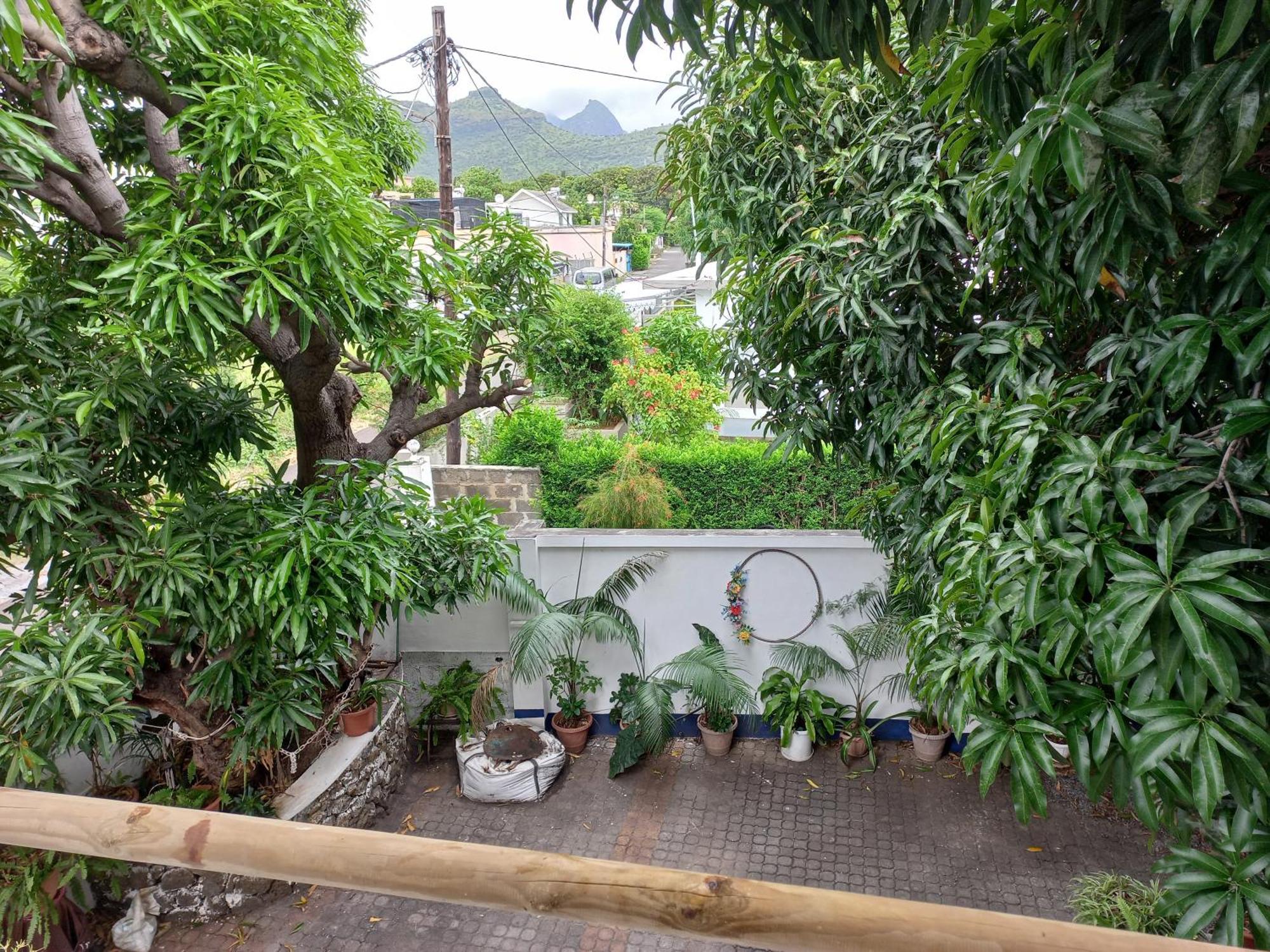 Open Air Cafe & * Port Louis