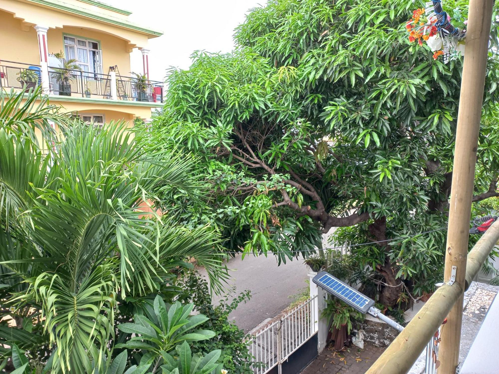Open Air Cafe & Apartment Port Louis